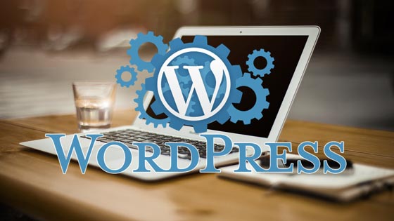 Qué hacer cuando falla el botón ‘agregar objeto’ en WordPress